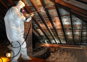 How do you remove mold from an attic?